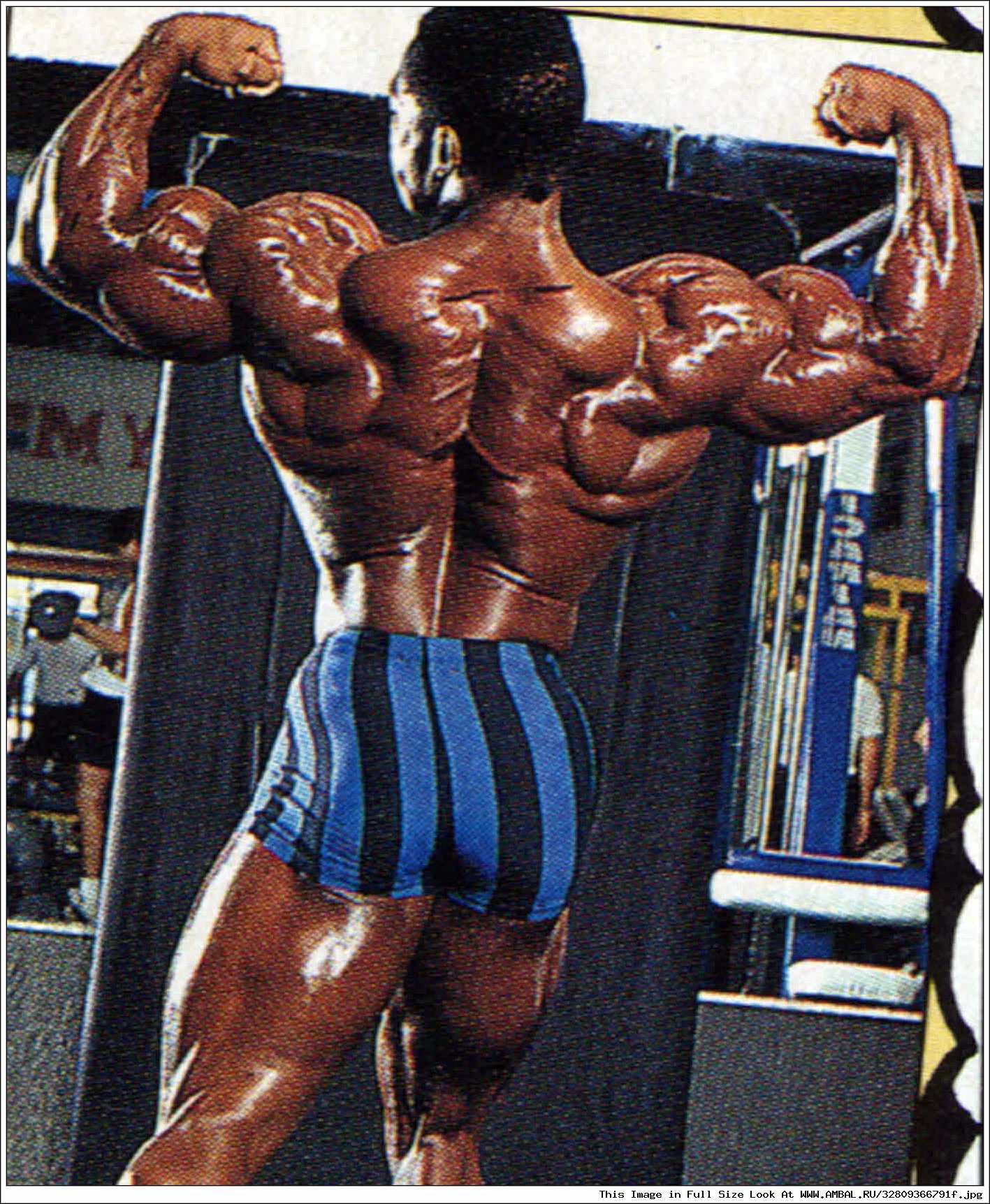 Флекс это. Флекс Уиллер 1992. Флекс Уиллер спина. Flex Wheeler 1992. Flex Wheeler спина.