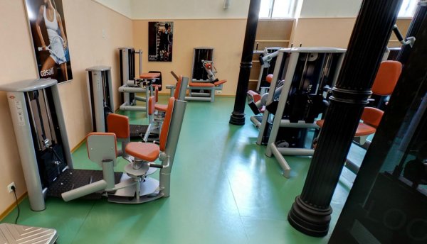 Fitness Palace. Тренажерный зал