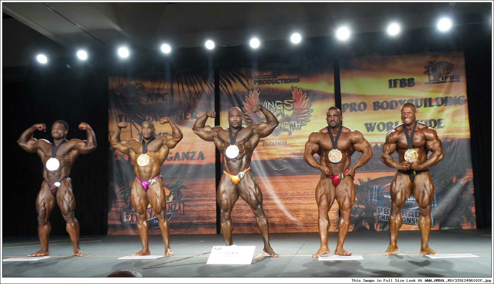 Стефан Хавлик bodybuilder