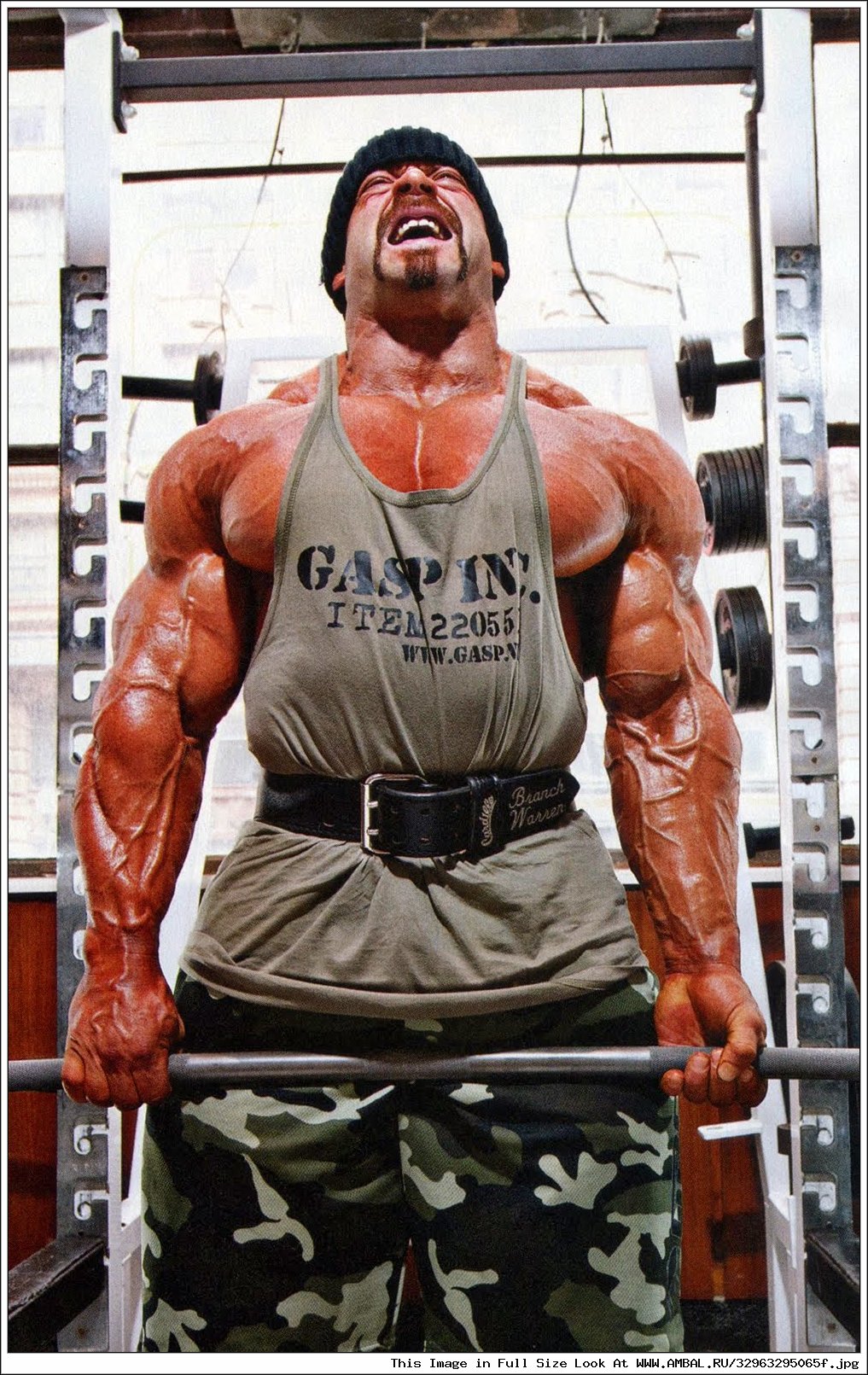 Frank Defeo Muscle