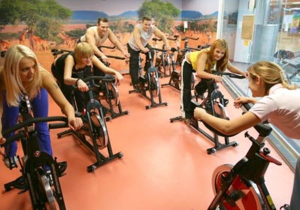 Zebra Fitness. Сайкл