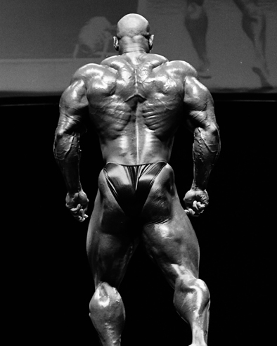 Flex Wheeler спина