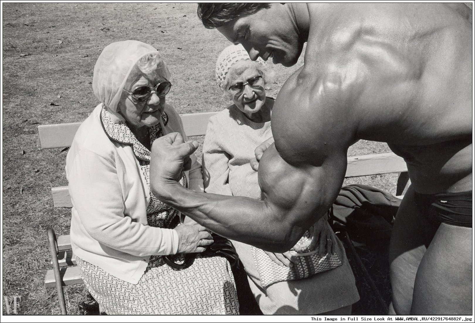 Шварценеггер 1950