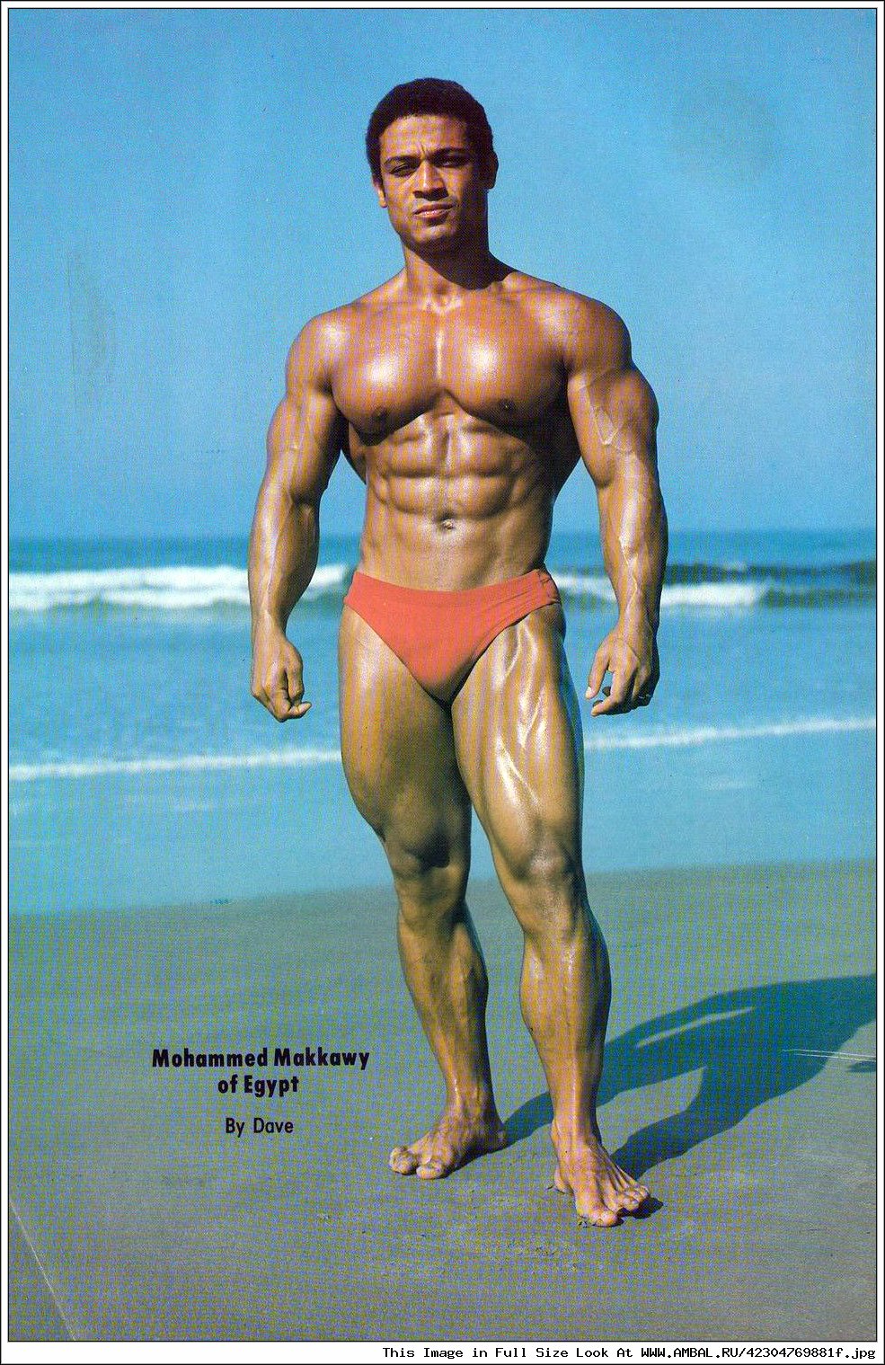 Мохаммед Маккави