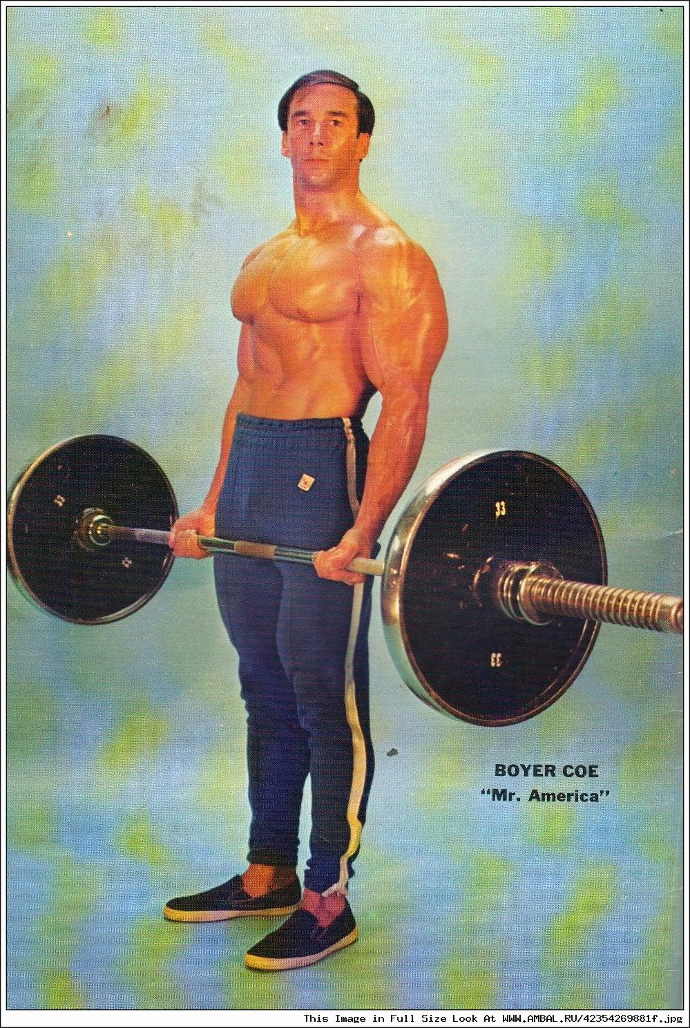 Бойер Ко (Boyer Coe), фотографии, биография, соревнования, бодибилдинг