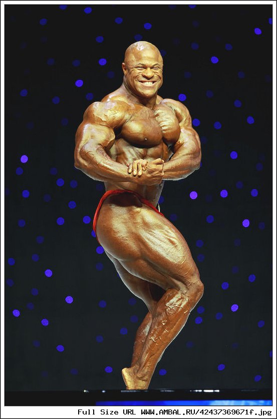 Bill Wilmore Training