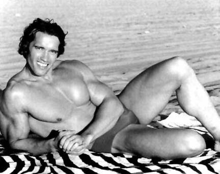Арнольд Шварценеггер (Arnold Schwarzenegger)
