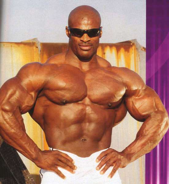Flex Wheeler спина