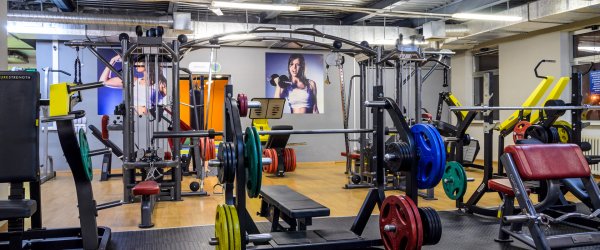 Alex Fitness — Фиолент. Тренажерный зал