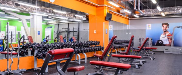 Alex Fitness — Вива Лэнд. Тренажерный зал