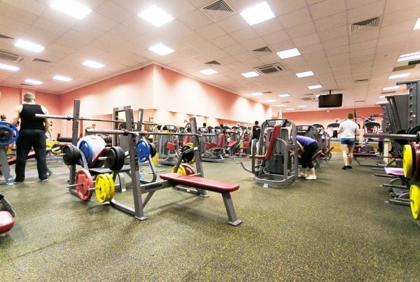 Gold Fitness - Семеновская. Тренажерный зал