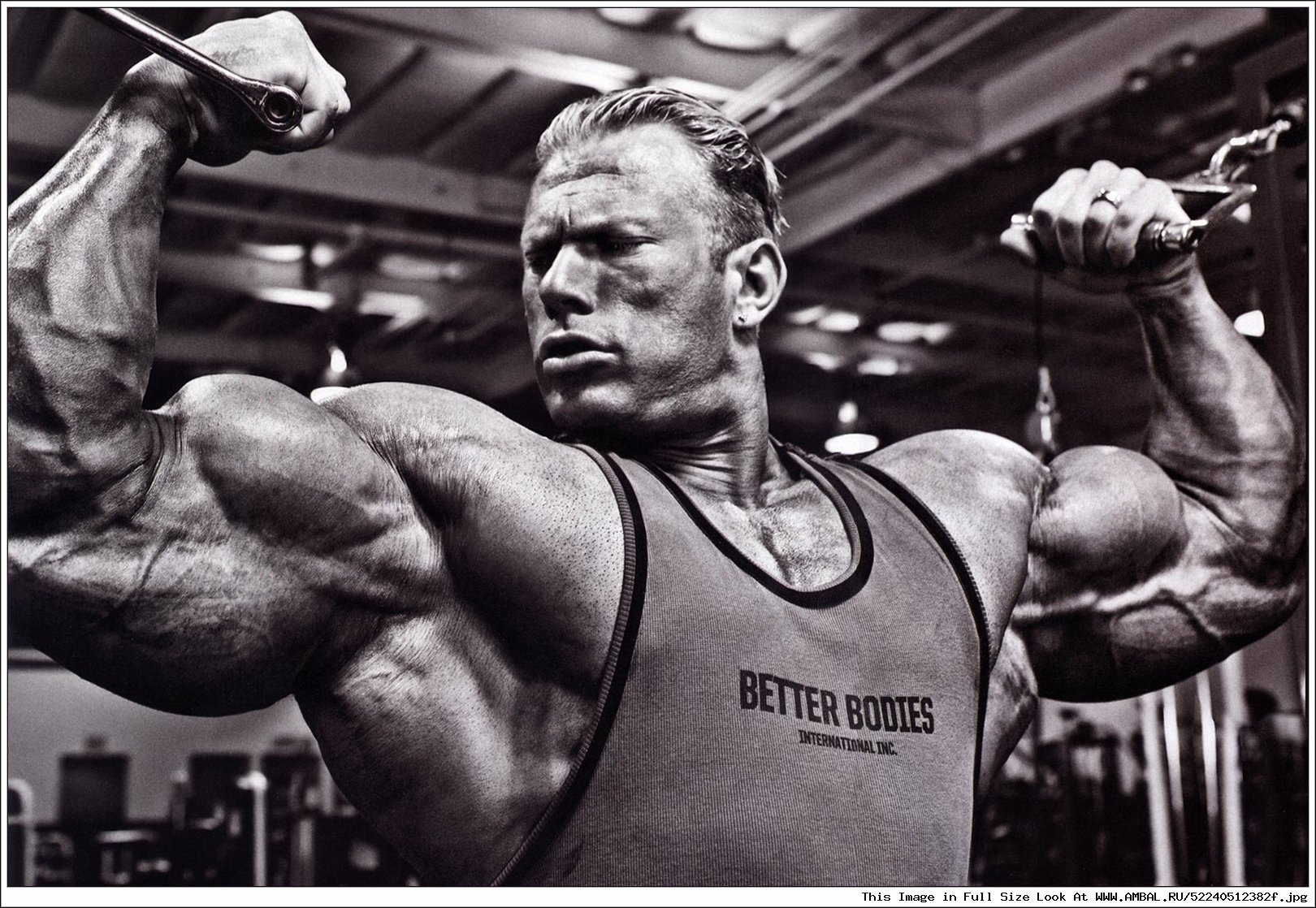 Bodybuilder Chat