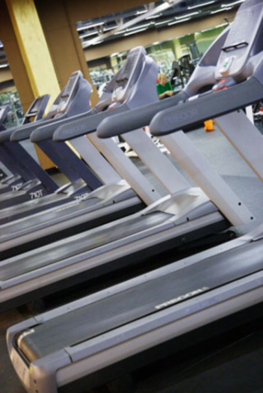 Sculptors Susanin Fitness. Кардиозона