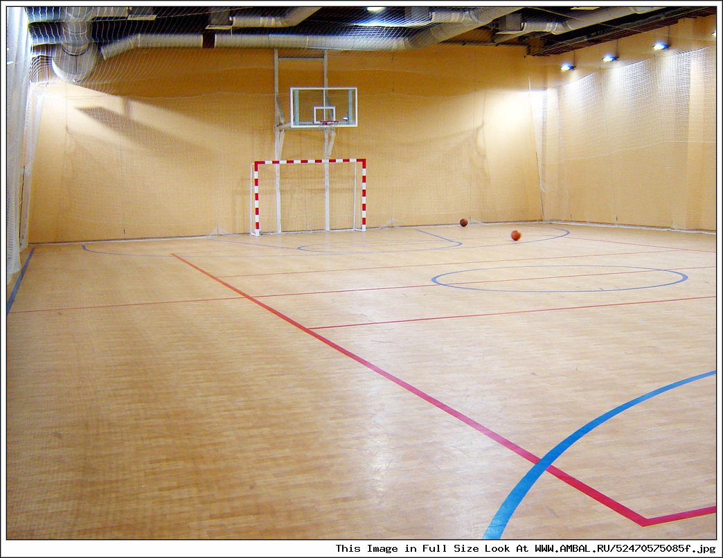 Залы для волейбола аренда. Фитнес Хаус Савушкина 119 бассейн. Волейбол зал. Спортивный зал баскетбол. Спортивный зал волейбол.