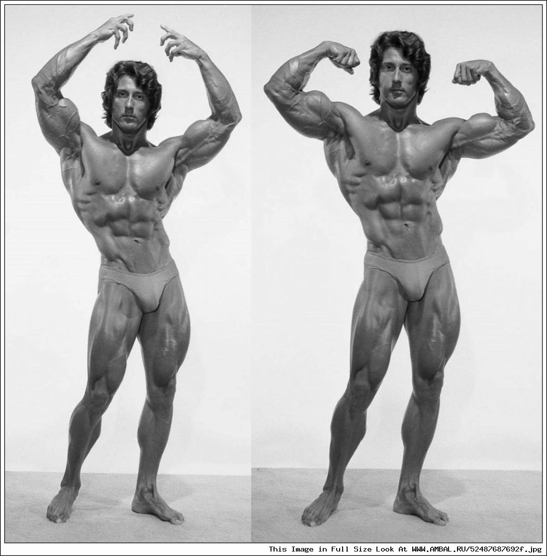 Frank Zane) США.