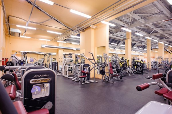Fitness House на Балканской. Тренажерный зал
