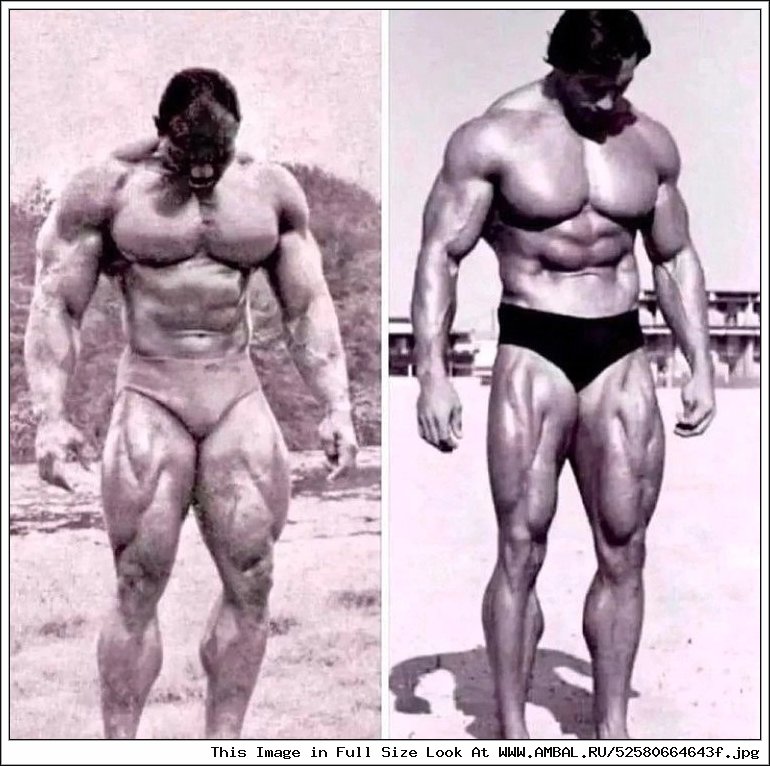 Арнольд Шварценеггер 1972