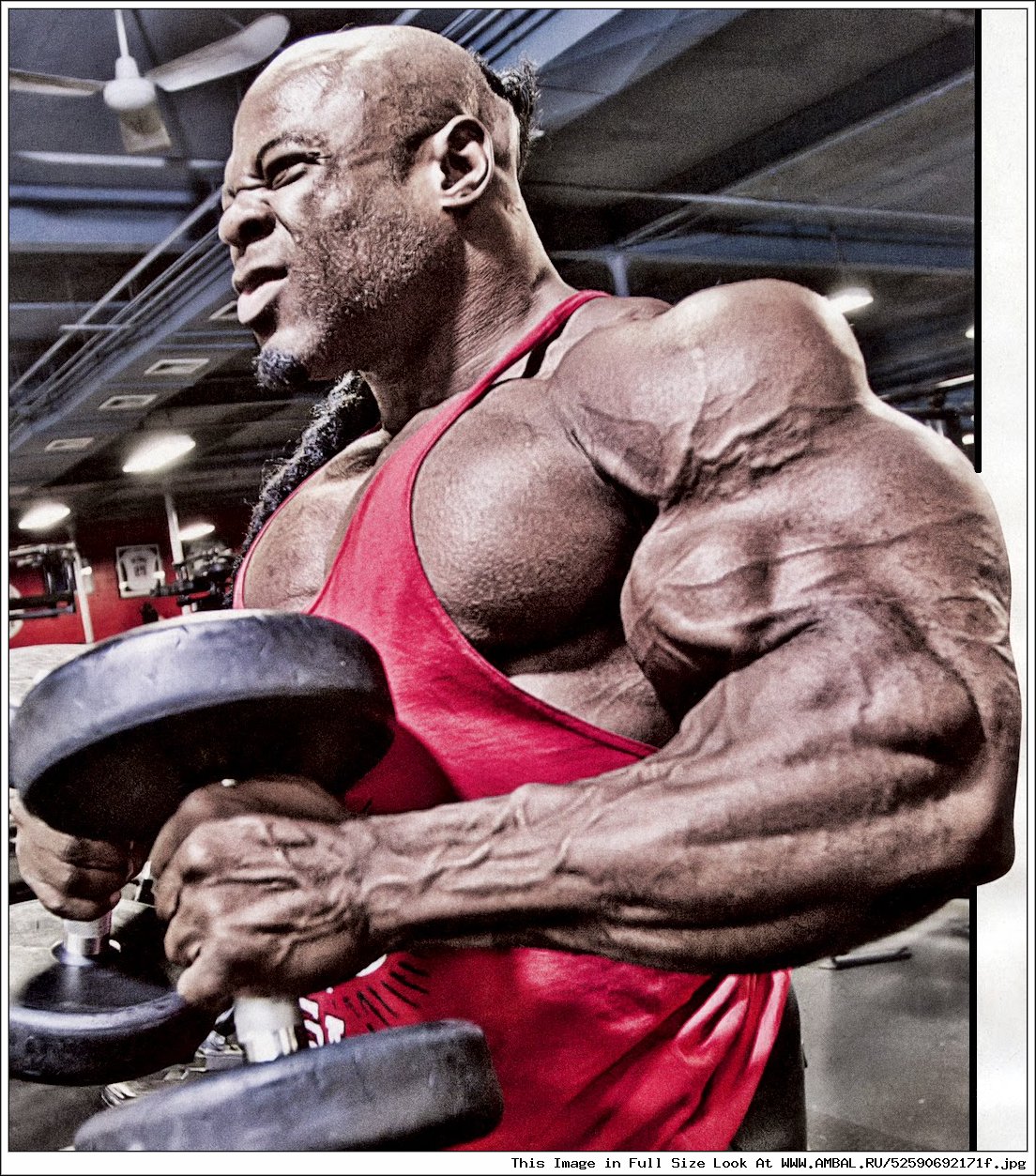 Kai Green Arms