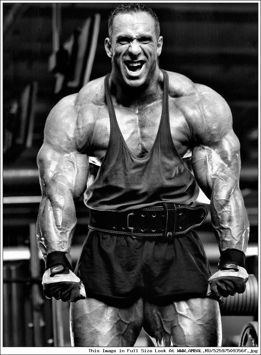 Muscle Gods