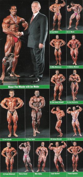 Ахим Альбрехт (Achim Albrecht), Самир Банну (Samir Bannout), Францис Бенфатто (Francis Benfatto), Альк Гюрли (Alq Gurley), Пол Диллет (Paul Dillett), Ли Лабрада (Lee Labrada), Рон Лав (Ron Love), Джей Джей Марш (J.J. Marsh), Майк Матараццо (Mike Matarazzo), Андреас Мюнцер (Andreas Munzer), Тьерри Пастел (Thierry Pastel), Винс Тейлор (Vince Taylor), Флекс Уиллер (Flex Wheeler), Франк Хиллебранд (Frank Hillebrand), Сонни Шмидт (Sonny Schmidt), Майк Эшли (Mike Ashley), Арнольд Классик 1993 года