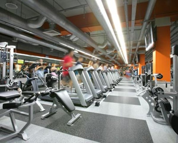 Zebra Fitness. Тренажерный зал