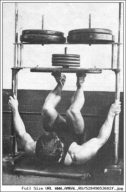 Frank Defeo Muscle