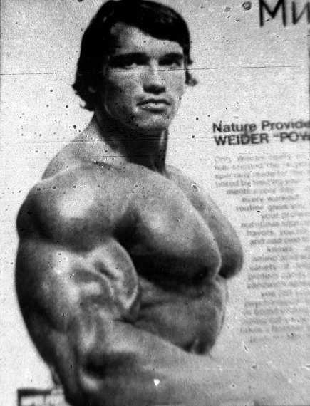 Арнольд Шварценеггер (Arnold Schwarzenegger), фотографии, биография ...