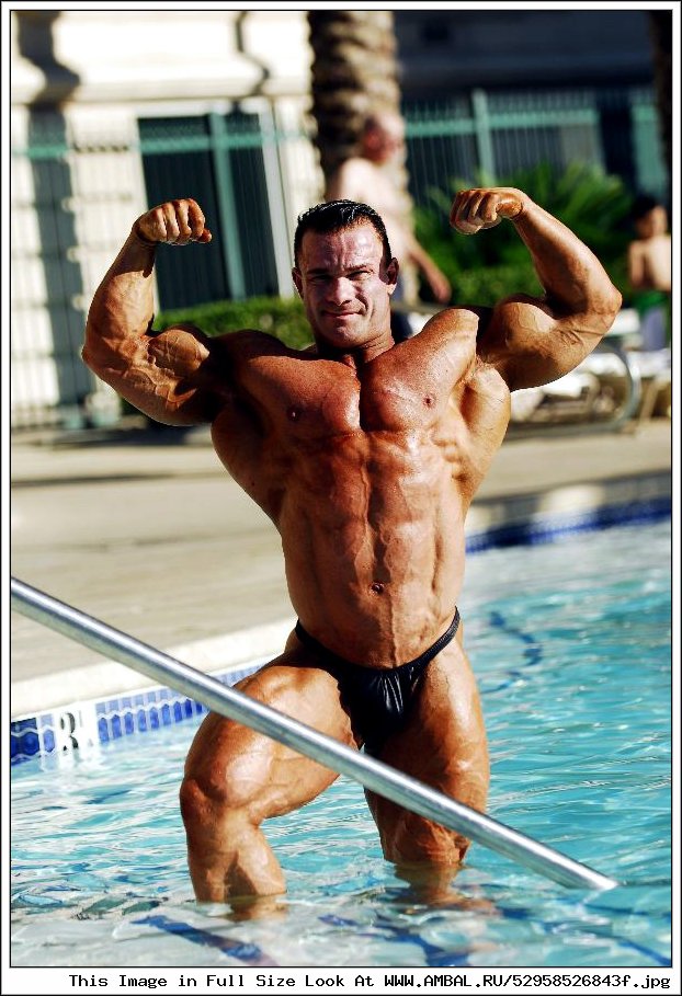 Ronny Rockel