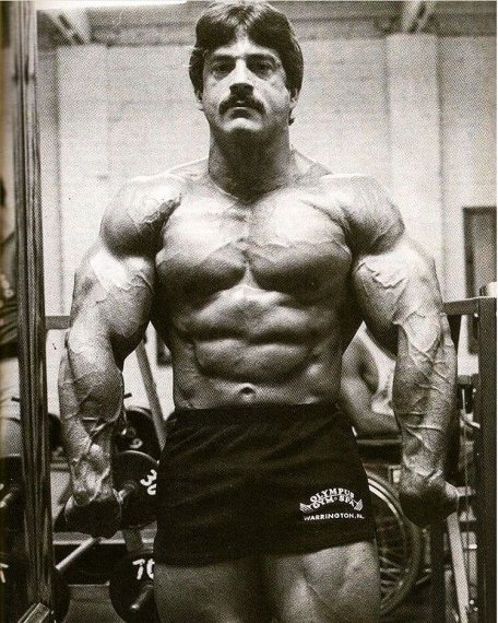 Майк Ментцер (Mike Mentzer), фотографии, биография, соревнования ...