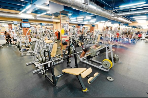 Fitness House в Светлановском. Тренажерный зал