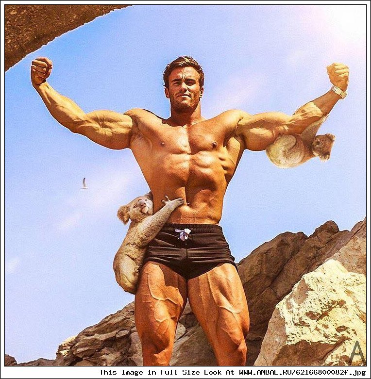 Calum von Moger) Австралия.