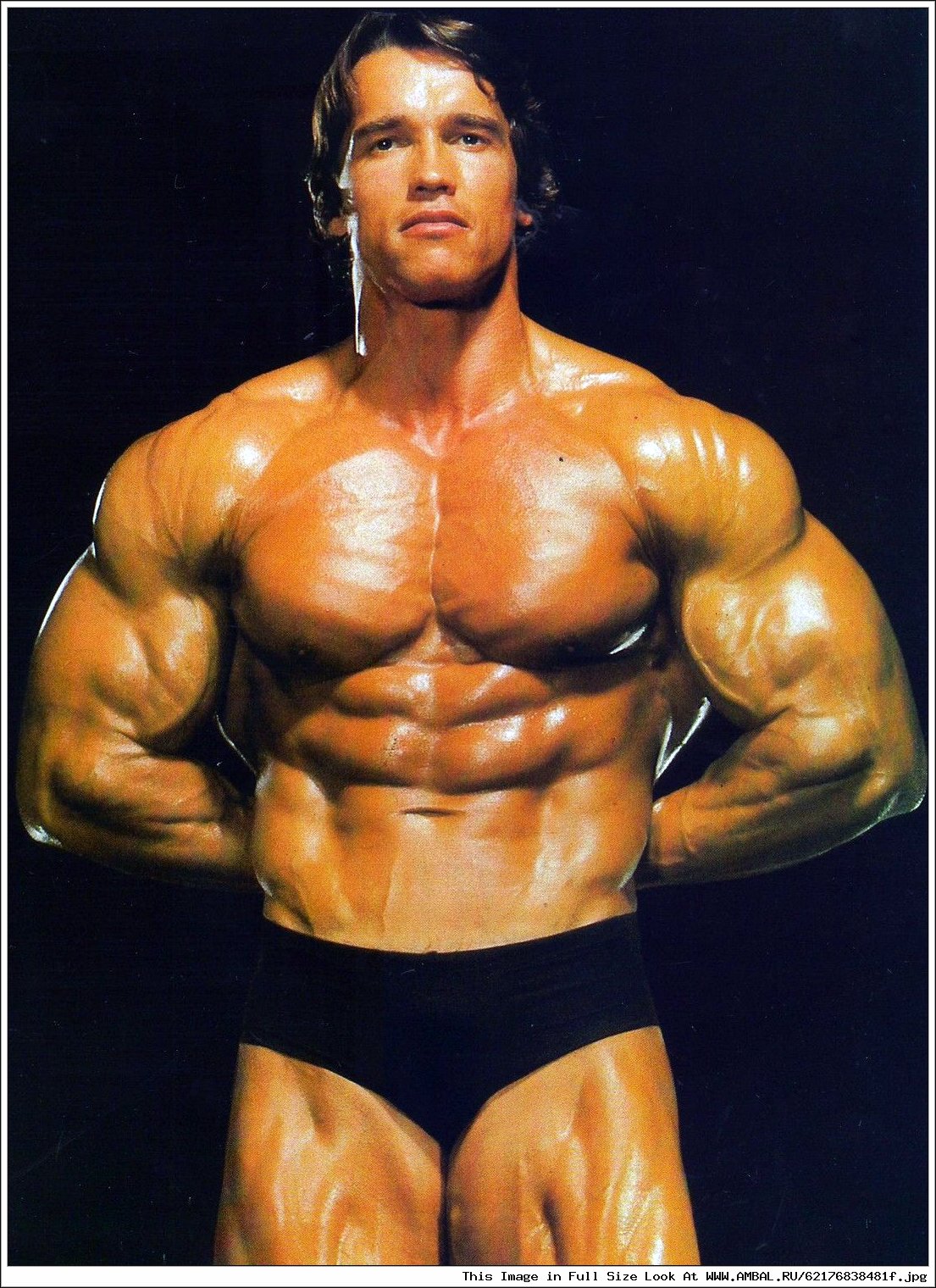 Арнольд Шварценеггер (Arnold Schwarzenegger), фотографии, биография ...
