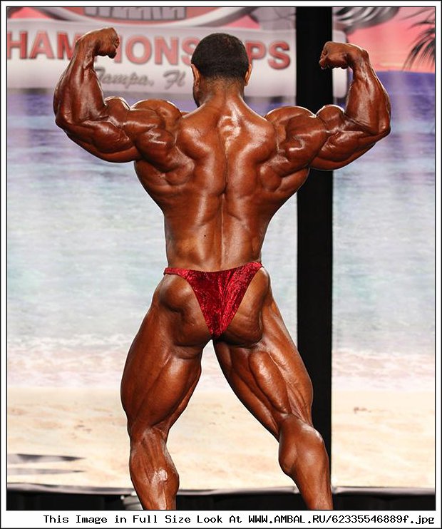 Roelly Winklaar бицепс