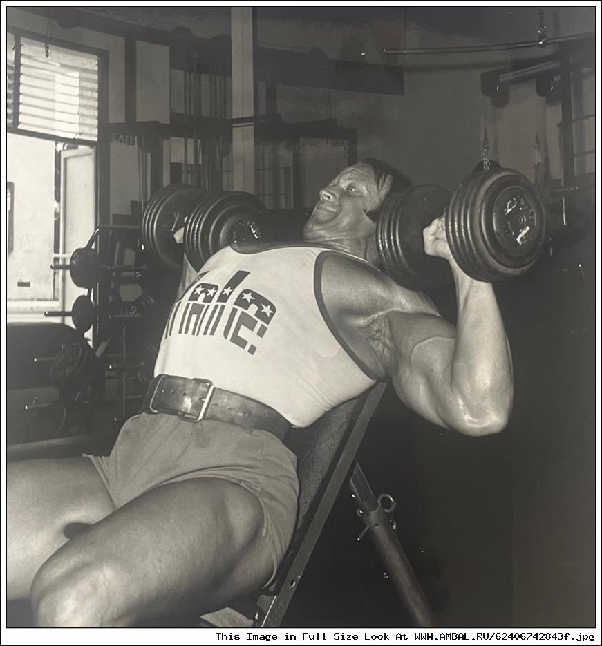 ������ Sustanoliq 260 ������: ����.