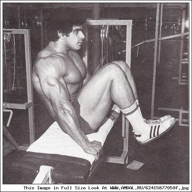 Лу Ферриньо (Lou Ferrigno) .