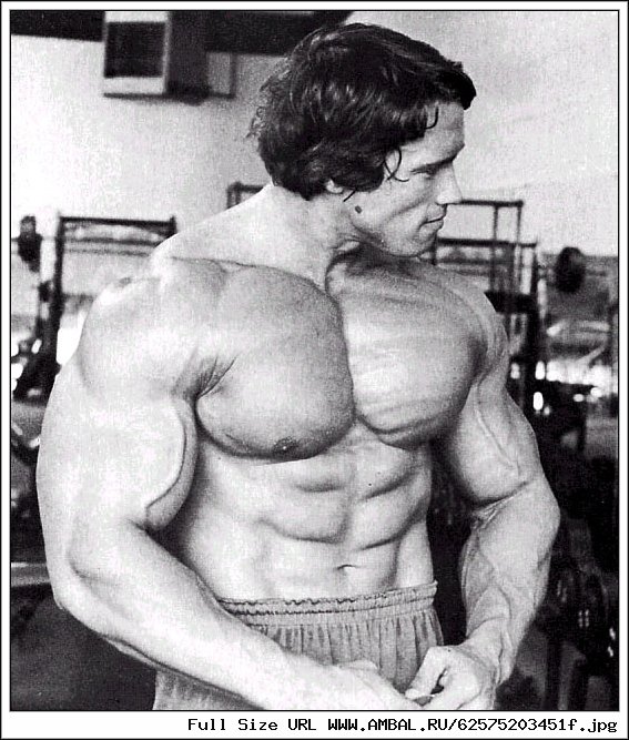 Арнольд Шварценеггер 1974 мускулатура