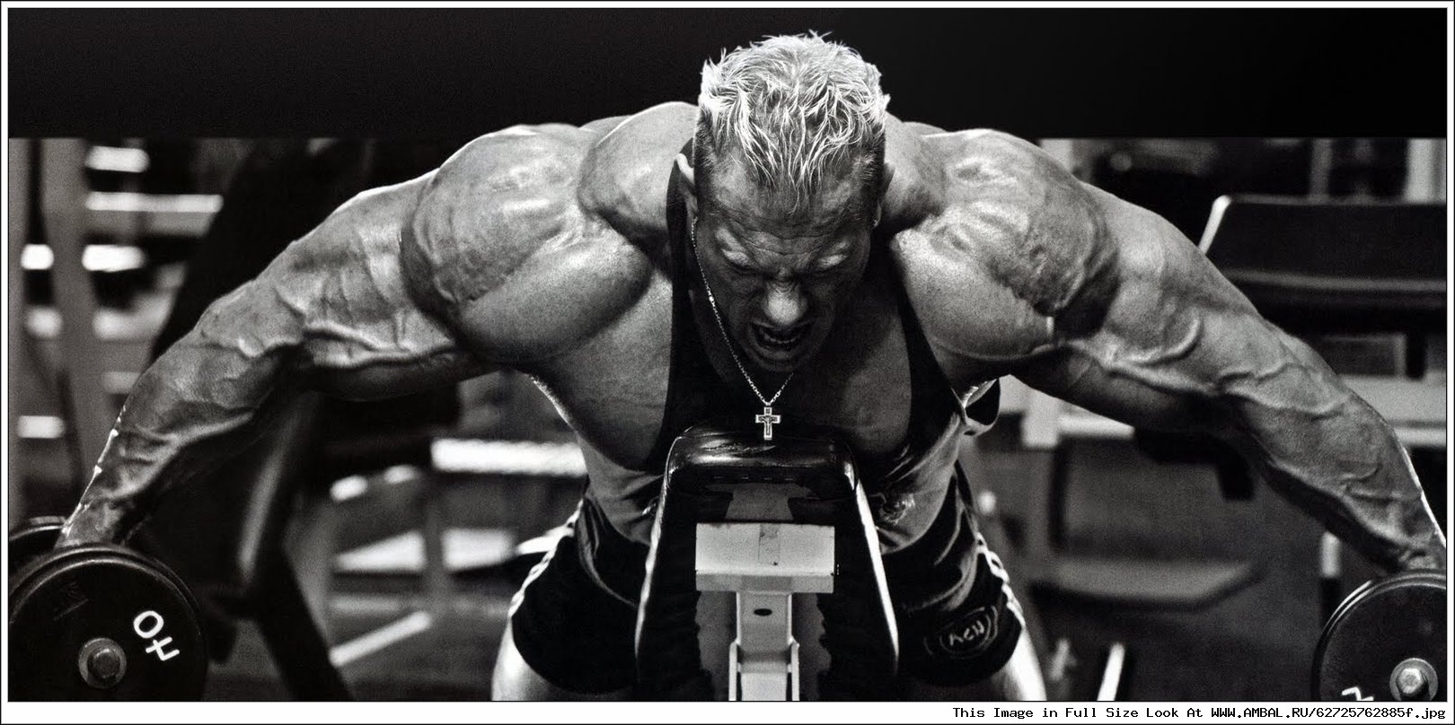 Bodybuilding Chatroom