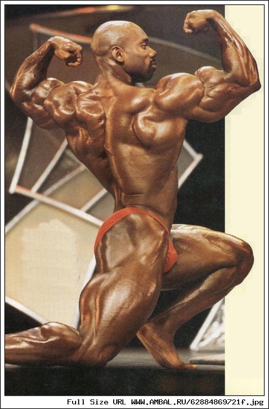Jaxton Wheeler My Muscle Video