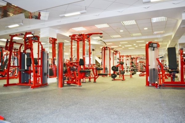 Strongo Hammer Strength. Тренажерный зал