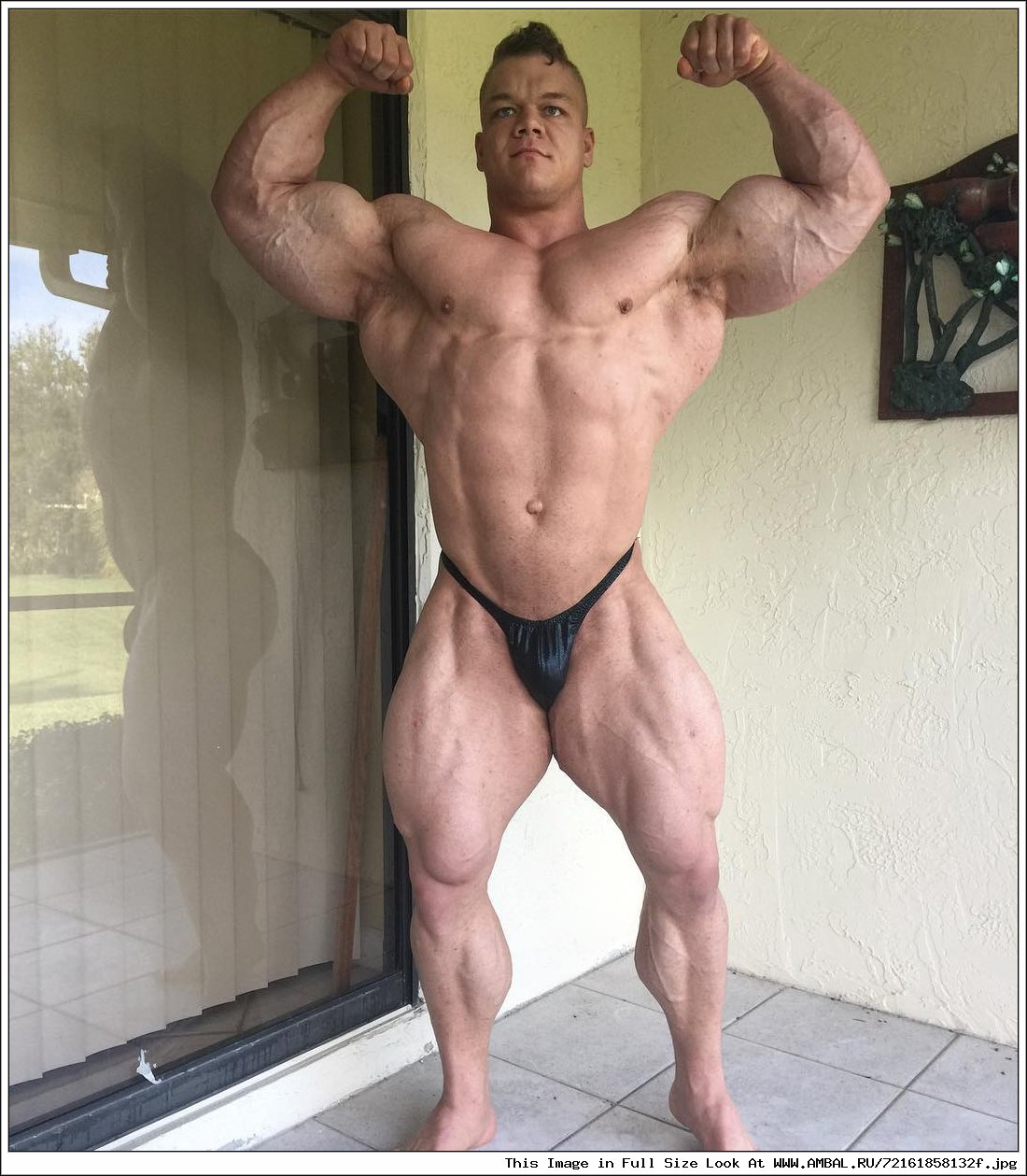 МАККАРВЕР бодибилдер