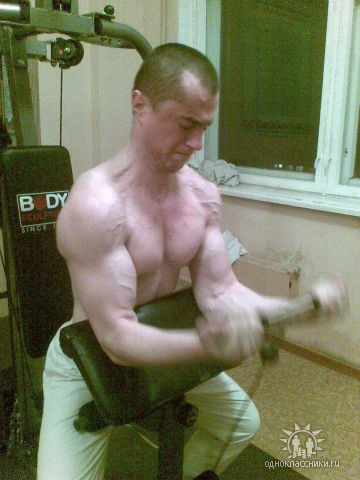 bizon