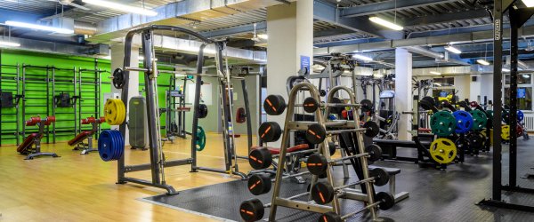 Alex Fitness — Фиолент. Тренажерный зал