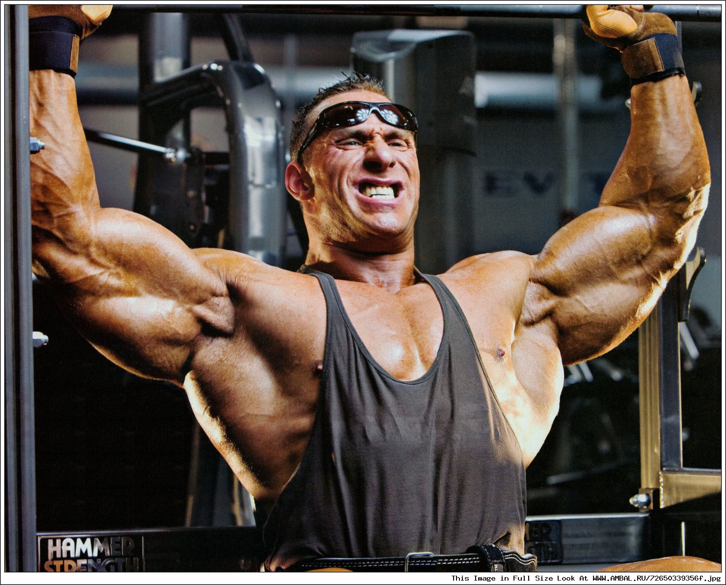 Muscle Gods