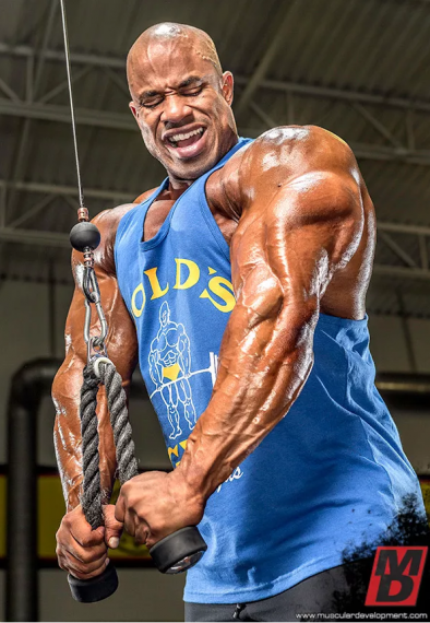 Pro Complex Gainer : .