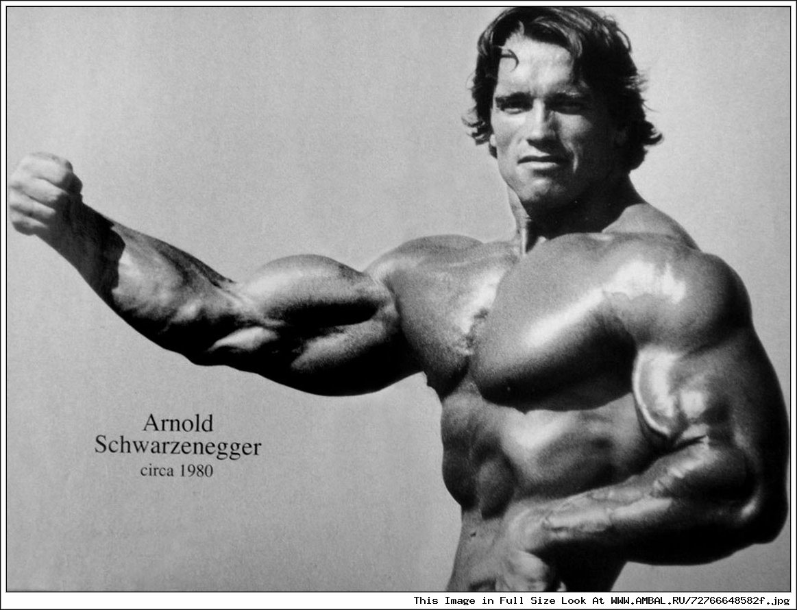 Арнольд Шварценеггер (Arnold Schwarzenegger) .
