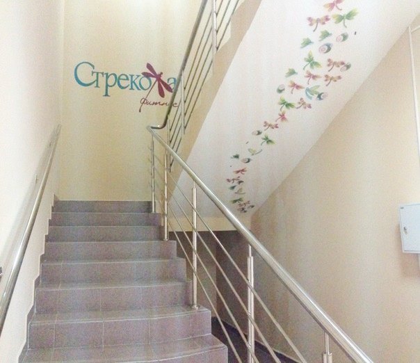 Стрекоза. Вход в клуб