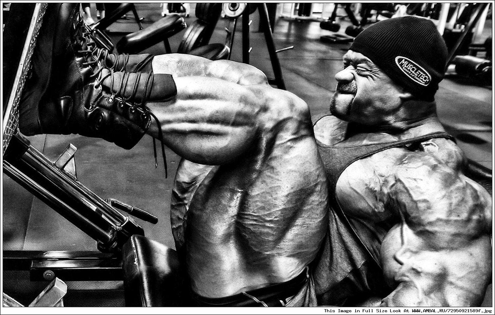 Bodybuilding Chatroom