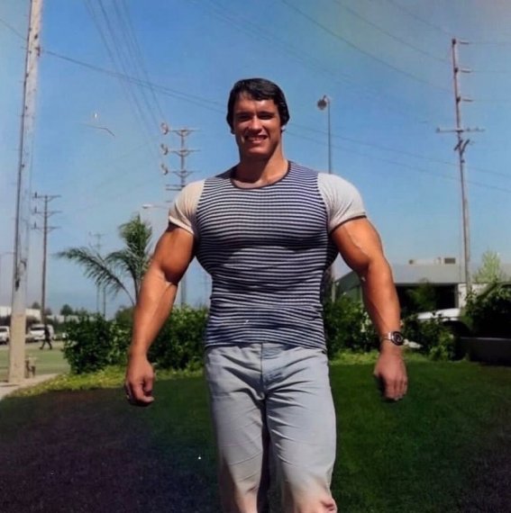 Арнольд Шварценеггер Conquer