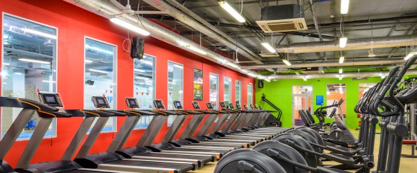 Alex Fitness — Московский. Кардиозона