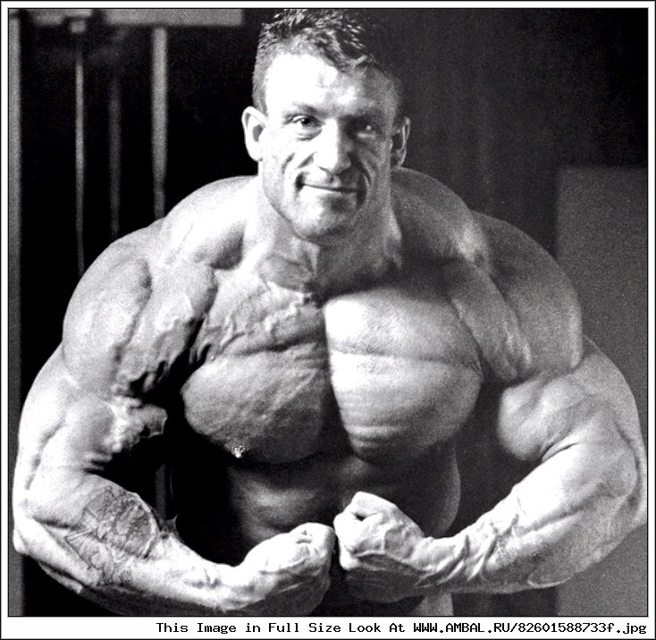 Дориан Ятс (Dorian Yates), фотографии, биография, соревнования, бодибилдинг